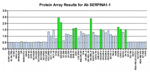 Click to enlarge image Protein Array in which CPTC-SERPINA1-1 is screened against the NCI60 cell line panel for expression. Data is normalized to a mean signal of 1.0 and standard deviation of 0.5. Color conveys over-expression level (green), basal level (blue), under-expression level (red).