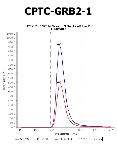 Click to enlarge image Immuno-MRM chromatogram of CPTC-GRB2-1 antibody (see CPTAC assay portal for details: https://assays.cancer.gov/CPTAC-699)
Data provided by the Paulovich Lab, Fred Hutch (https://research.fredhutch.org/paulovich/en.html). Data shown were obtained from plasma.