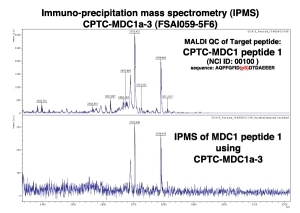 Click to enlarge image Immuno-Precipitation Mass Spectrometry using CPTC-MDC1-3 antibody with CPTC-MDC1 peptide 1 (non-phosphorylated) as the target antigen. 
