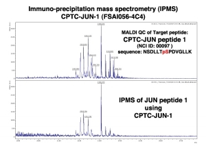 Click to enlarge image Immuno-Precipitation Mass Spectrometry using CPTC-JUN-1 antibody with CPTC-JUN proto-Oncogene peptide 1 (non-phosphorylated) as the target antigen. 