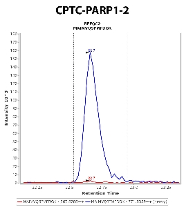 Click to enlarge image Immuno-MRM chromatogram of CPTC-PARP1-2  antibody (see CPTAC assay portal for details: https://assays.cancer.gov/CPTAC-5899)
Data provided by the Paulovich Lab, Fred Hutch (https://research.fredhutch.org/paulovich/en.html). Data shown were obtained from cell lysate.