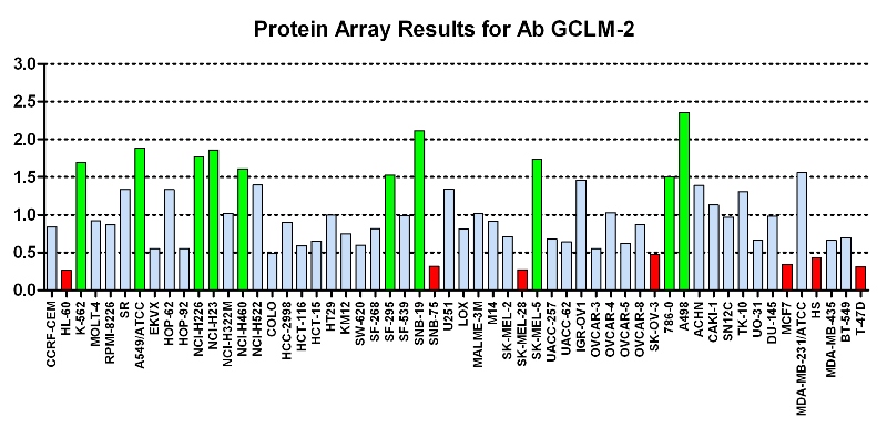 Click to enlarge image Protein Array in which CPTC-GCLM-2  is screened against the NCI60 cell line panel for expression. Data is normalized to a mean signal of 1.0 and standard deviation of 0.5. Color conveys over-expression level (green), basal level (blue), under-expression level (red).