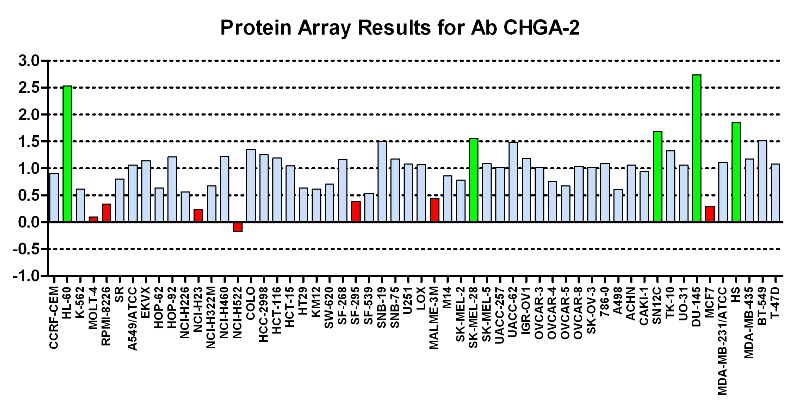 Click to enlarge image Protein Array in which CPTC-CHGA-2 is screened against the NCI60 cell line panel for expression. Data is normalized to a mean signal of 1.0 and standard deviation of 0.5. Color conveys over-expression level (green), basal level (blue), under-expression level (red).