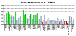 Click to enlarge image Protein Array in which CPTC-YWHAE-3 is screened against the NCI60 cell line panel for expression. Data is normalized to a mean signal of 1.0 and standard deviation of 0.5. Color conveys over-expression level (green), basal level (blue), under-expression level (red).