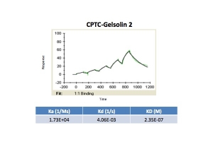 Click to enlarge image Kinetic titration data for Gelsolin-2 using Biacore SPR method