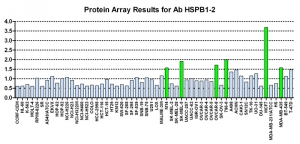 Click to enlarge image Protein Array in which CPTC-HSPB1-2 is screened against the NCI60 cell line panel for expression. Data is normalized to a mean signal of 1.0 and standard deviation of 0.5. Color conveys over-expression level (green), basal level (blue), under-expression level (red).