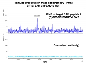 Click to enlarge image Immuno-Precipitation Mass Spectrometry using CPTC-BAI1-3 antibody with CPTC-BAI1 peptide 1 (NCI 00083) as the target antigen.
