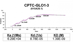 Click to enlarge image Kinetic titration data for GLO1-3 Ab (615A28.1) using Biacore SPR method