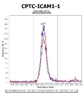 Click to enlarge image Immuno-MRM chromatogram of CPTC-ICAM1-1 antibody (see CPTAC assay portal for details: https://assays.cancer.gov/CPTAC-5943)
Data provided by the Paulovich Lab, Fred Hutch (https://research.fredhutch.org/paulovich/en.html). Data shown were obtained from FFPE tumor tissue lysate pool.