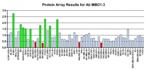 Click to enlarge image Protein Array in which CPTC-MBD1-3 is screened against the NCI60 cell line panel for expression. Data is normalized to a mean signal of 1.0 and standard deviation of 0.5. Color conveys over-expression level (green), basal level (blue), under-expression level (red).