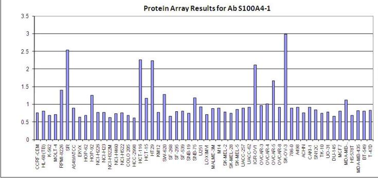 Click to enlarge image Protein Array in which S100A4-1 is screen agains the NCI60 cell line panel for expression. Data is normalized to a mean signal of 1.0 and standard deviation of 0.5.