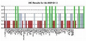 Click to enlarge image Immuno-histochemistry of CPTC-AKR1B1-3 for NCI60  Cell Line Array at titer 1:250
0=NEGATIVE
1=WEAK
2=MODERATE
3=STRONG
