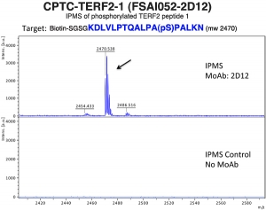 Click to enlarge image Immuno-Precipitation Mass Spectrometry using CPTC-TERF2-1 antibody with CPTC-TERF2 peptide 1 (phosphorylated) as the target antigen.