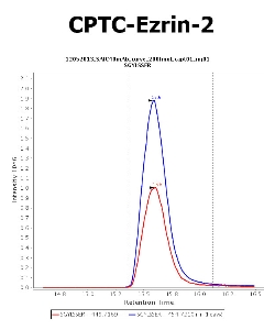 Click to enlarge image Immuno-MRM chromatogram of CPTC-Ezrin-2 antibody (see CPTAC assay portal for details: https://assays.cancer.gov/CPTAC-712)
Data provided by the Paulovich Lab, Fred Hutch (https://research.fredhutch.org/paulovich/en.html). Data shown were obtained from plasma.