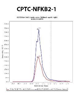Click to enlarge image Immuno-MRM chromatogram of CPTC-NFKB2-1 antibody (see CPTAC assay portal for details: https://assays.cancer.gov/CPTAC-721)
Data provided by the Paulovich Lab, Fred Hutch (https://research.fredhutch.org/paulovich/en.html). Data shown were obtained from  plasmal. Data collected from FFPE tumor tissue lysate pool are available on the CPTAC assay portal (https://assays.cancer.gov/CPTAC-5970)