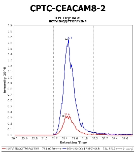 Click to enlarge image Immuno-MRM chromatogram of CPTC-CEACAM8-2 antibody (see CPTAC assay portal for details: https://assays.cancer.gov/CPTAC-5958)
Data provided by the Paulovich Lab, Fred Hutch (https://research.fredhutch.org/paulovich/en.html). Data shown were obtained from FFPE tumor tissue lysate pool.
