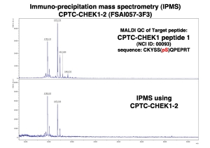 Click to enlarge image Immuno-Precipitation Mass Spectrometry using CPTC-CHEK1-2 antibody with CPTC-CHEK1 peptide 1 (NCI 00093; phosphorylated) as the target antigen.