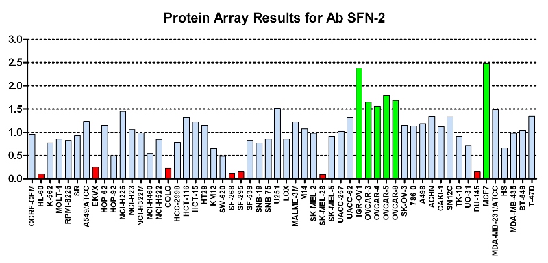 Click to enlarge image Protein Array in which CPTC-SFN-2 is screened against the NCI60 cell line panel for expression. Data is normalized to a mean signal of 1.0 and standard deviation of 0.5. Color conveys over-expression level (green), basal level (blue), under-expression level (red).