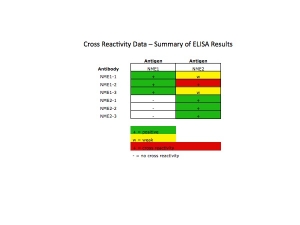 Click to enlarge image This table shows the cross reactivity data for NME1 and NME2.