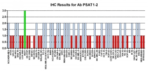Click to enlarge image Immunohistochemistry of CPTC-PSAT1-2 for NCI60 Cell Line Array. Data scored as:
0=NEGATIVE
1=WEAK (red)
2=MODERATE (blue)
3=STRONG (green)
Titer: 1:50