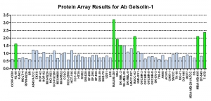 Click to enlarge image Protein Array in which CPTC-Gelsolin-1 CPTC-AKR1B1-1 is screened against the NCI60 cell line panel for expression. Data is normalized to a mean signal of 1.0 and standard deviation of 0.5. Color conveys over-expression level (green), basal level (blue), under-expression level (red).