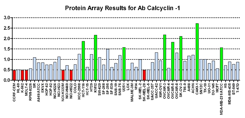 Click to enlarge image Protein Array in which CPTC-Calcylin is screened against the NCI60 cell line panel for expression. Data is normalized to a mean signal of 1.0 and standard deviation of 0.5. Color conveys over-expression level (green), basal level (blue), under-expression level (red).