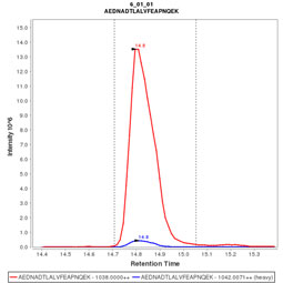 Click to enlarge image Immuno-MRM chromatogram of CPTC-PCNA-3 antibody (see CPTAC assay portal for details: https://assays.cancer.gov/CPTAC-3243) 

Data provided by the Paulovich Lab, Fred Hutch (https://research.fredhutch.org/paulovich/en.html)
