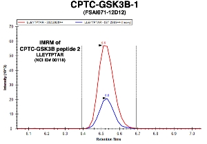 Click to enlarge image Immuno-MRM chromatogram of CPTC-GSK3B-1 antibody with CPTC-GSK3B peptide 2 (NCI ID#00118) as target