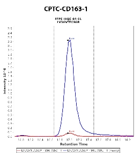 Click to enlarge image Immuno-MRM chromatogram of CPTC-CD163-1 antibody (see CPTAC assay portal for details: https://assays.cancer.gov/CPTAC-5983)
Data provided by the Paulovich Lab, Fred Hutch (https://research.fredhutch.org/paulovich/en.html). Data shown were obtained from FFPE tumor tissue lysate pool.