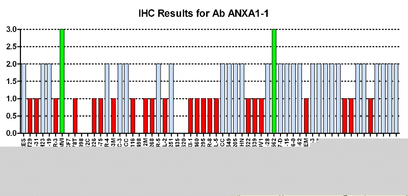 Click to enlarge image Immuno-histochemistry of CPTC-ANXA1-1 for NCI60  Cell Line Array with titer 1:4900
0=NEGATIVE
1=WEAK(red)
2=MODERATE(blue)
3=STRONG(green)
