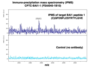Click to enlarge image Immuno-Precipitation Mass Spectrometry using CPTC-BAI1-1 antibody with CPTC-BAI1 peptide 1 (NCI 00083) as the target antigen.