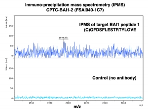 Click to enlarge image Immuno-Precipitation Mass Spectrometry using CPTC-BAI1-2 antibody with CPTC-BAI1 peptide 1 (NCI 00083) as the target antigen.