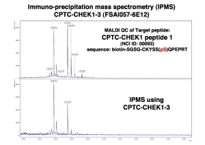 Click to enlarge image Immuno-Precipitation Mass Spectrometry using CPTC-CHEK1-3 antibody with CPTC-CHEK1 peptide 1 (NCI 00093; phosphorylated) as the target antigen.