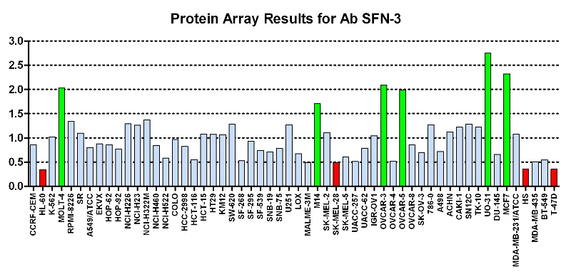 Click to enlarge image Protein Array in which CPTC-SFN-3 is screened against the NCI60 cell line panel for expression. Data is normalized to a mean signal of 1.0 and standard deviation of 0.5. Color conveys over-expression level (green), basal level (blue), under-expression level (red).