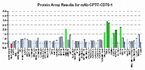 Click to enlarge image Protein Array in which CPTC-CD70-1 is screened against the NCI60 cell line panel for expression. Data is normalized to a mean signal of 1.0 and standard deviation of 0.5. Color conveys over-expression level (green), basal level (blue), under-expression level (red).