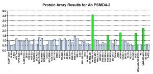 Click to enlarge image Protein Array in which CPTC-PSMD4-2 is screened against the NCI60 cell line panel for expression. Data is normalized to a mean signal of 1.0 and standard deviation of 0.5. Color conveys over-expression level (green), basal level (blue), under-expression level (red).