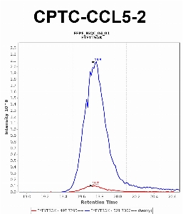 Click to enlarge image "Immuno-MRM chromatogram of CPTC-CCL5-2 antibody (see CPTAC assay portal for details: https://assays.cancer.gov/CPTAC-5948)
Data provided by the Paulovich Lab, Fred Hutch (https://research.fredhutch.org/paulovich/en.html).
Data shown were obtained from FFPE tumor tissue lysate pool.