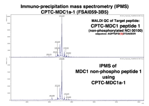 Click to enlarge image Immuno-Precipitation Mass Spectrometry using CPTC-MDC1-1 antibody with CPTC-MDC1 peptide 1 (non-phosphorylated) as the target antigen. 