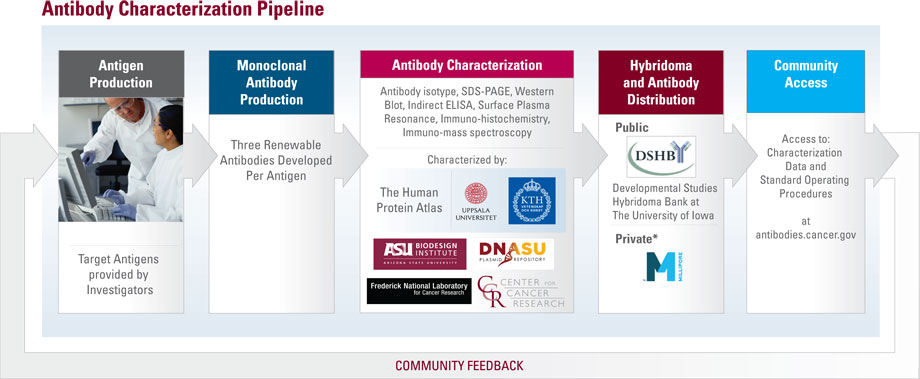 Characterization Pipeline