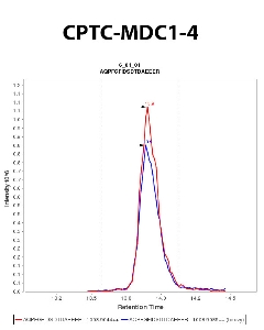 Click to enlarge image Immuno-MRM chromatogram of CPTC-MDC1-4  antibody (see CPTAC assay portal for details: https://assays.cancer.gov/CPTAC-3235)
Data provided by the Paulovich Lab, Fred Hutch (https://research.fredhutch.org/paulovich/en.html). Data shown were obtained from cell lysate.