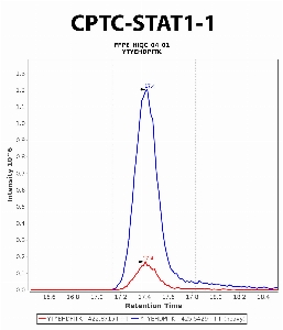 Click to enlarge image Immuno-MRM chromatogram of CPTC-STAT1-1 antibody (see CPTAC assay portal for details: https://assays.cancer.gov/CPTAC-5964)
Data provided by the Paulovich Lab, Fred Hutch (https://research.fredhutch.org/paulovich/en.html). Data shown were obtained from FFPE tumor tissue lysate pool.