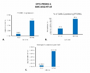Click to enlarge image Single cell western blot using CPTC-PROM1-1 as a primary antibody against cell lysates.  Relative expression of total PROM1 in HT-29 and U87MG cells (A).  Percentage of cells that express PROM1 (B).  Average expression of PROM1 protein per cell (C).  All data is normalized to β-tubulin expression.