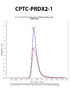 Click to enlarge image Immuno-MRM chromatogram of CPTC-PRDX2-1  antibody (see CPTAC assay portal for details: https://assays.cancer.gov/CPTAC-727)
Data provided by the Paulovich Lab, Fred Hutch (https://research.fredhutch.org/paulovich/en.html). Data shown were obtained from plasma.