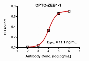 Click to enlarge image Indirect ELISA using CPTC-ZEB1-1 as primary antibody against ZEB1 domain comprising amino acids 300-510.