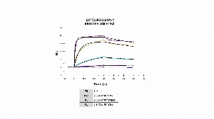 Click to enlarge image Affinity and binding kinetics of CPTC-KRAS4A-1 and KRAS4A recombinant protein using surface plasmon resonance. CPTC-KRAS4A-1 antibody was captured onto a Series S Protein A biosensor chip. KRAS4A recombinant protein, 256 nM, 64 nM, 16 nM, 4 nM and 1.0 nM, was used as analyte.