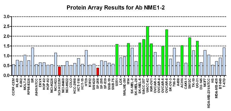 Click to enlarge image Protein Array in which CPTC-NME1-2 is screened against the NCI60 cell line panel for expression. Data is normalized to a mean signal of 1.0 and standard deviation of 0.5. Color conveys over-expression level (green), basal level (blue), under-expression level (red).