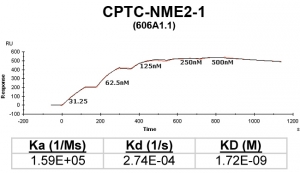 Click to enlarge image Kinetic titration data for NME2-1 Ab (606A1.1) using Biacore SPR method