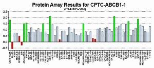Click to enlarge image Protein Array in which CPTC-ABCB1-1 is screened against the NCI60 cell line panel for expression. Data is normalized to a mean signal of 1.0 and standard deviation of 0.5. Color conveys over-expression level (green), basal level (blue), under-expression level (red).