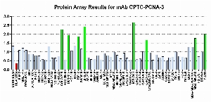 Click to enlarge image Protein Array in which CPTC-PCNA-3 is screened against the NCI60 cell line panel for expression. Data is normalized to a mean signal of 1.0 and standard deviation of 0.5. Color conveys over-expression level (green), basal level (blue), under-expression level (red).
