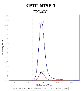 Click to enlarge image Immuno-MRM chromatogram of CPTC-NT5E-1 antibody (see CPTAC assay portal for details: https://assays.cancer.gov/CPTAC-5952)
Data provided by the Paulovich Lab, Fred Hutch (https://research.fredhutch.org/paulovich/en.html). Data shown were obtained from FFPE tumor tissue lysate pool.